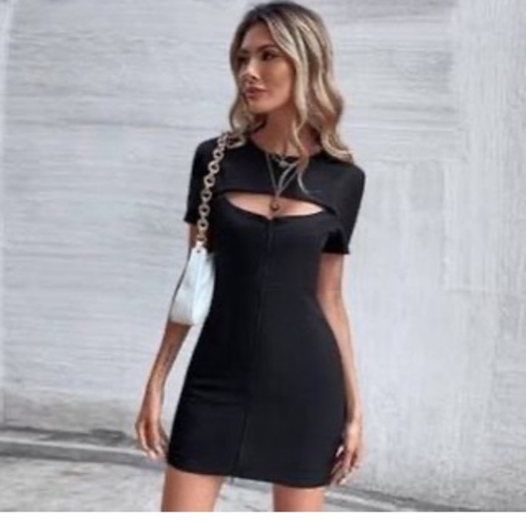 Zara Dresses & Skirts - zara dress